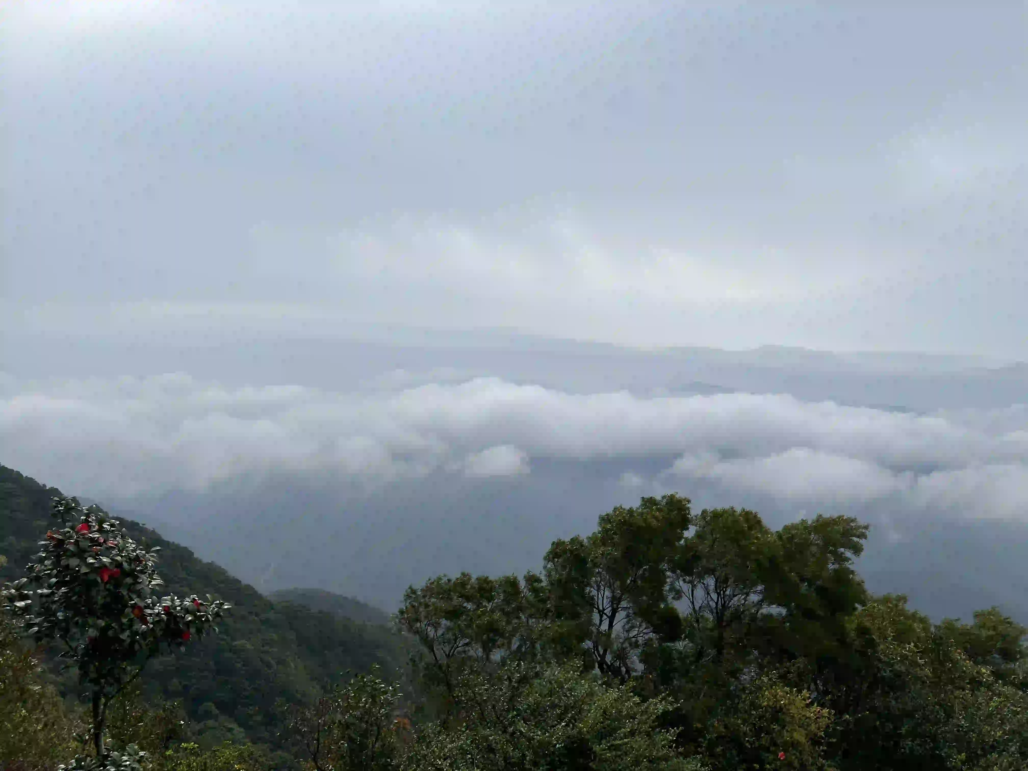 梧桐山-云海