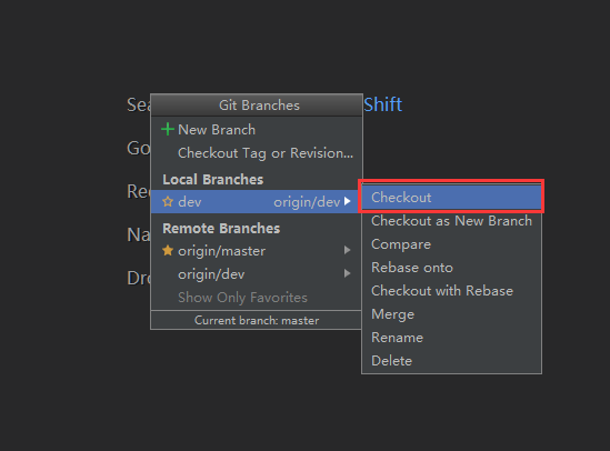 IDEA-切换到dev分支.png